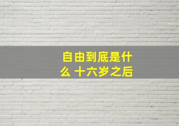 自由到底是什么 十六岁之后